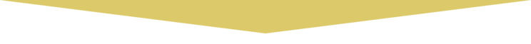 Full Length Down Arrow (transparent)