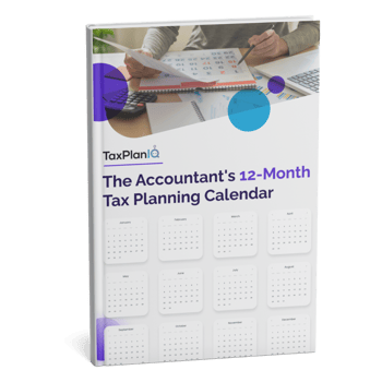 The Accountants 12-Month Tax Planning Calendar Mockup (1)