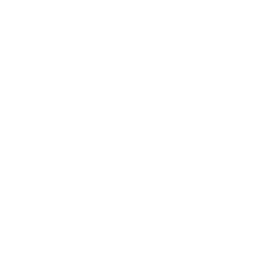 Asset 1fees 1