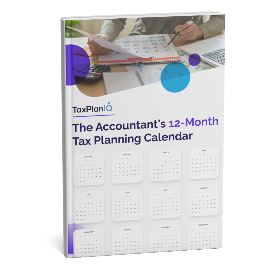 The Accountants 12-Month Tax Planning Calendar Mockup (1)